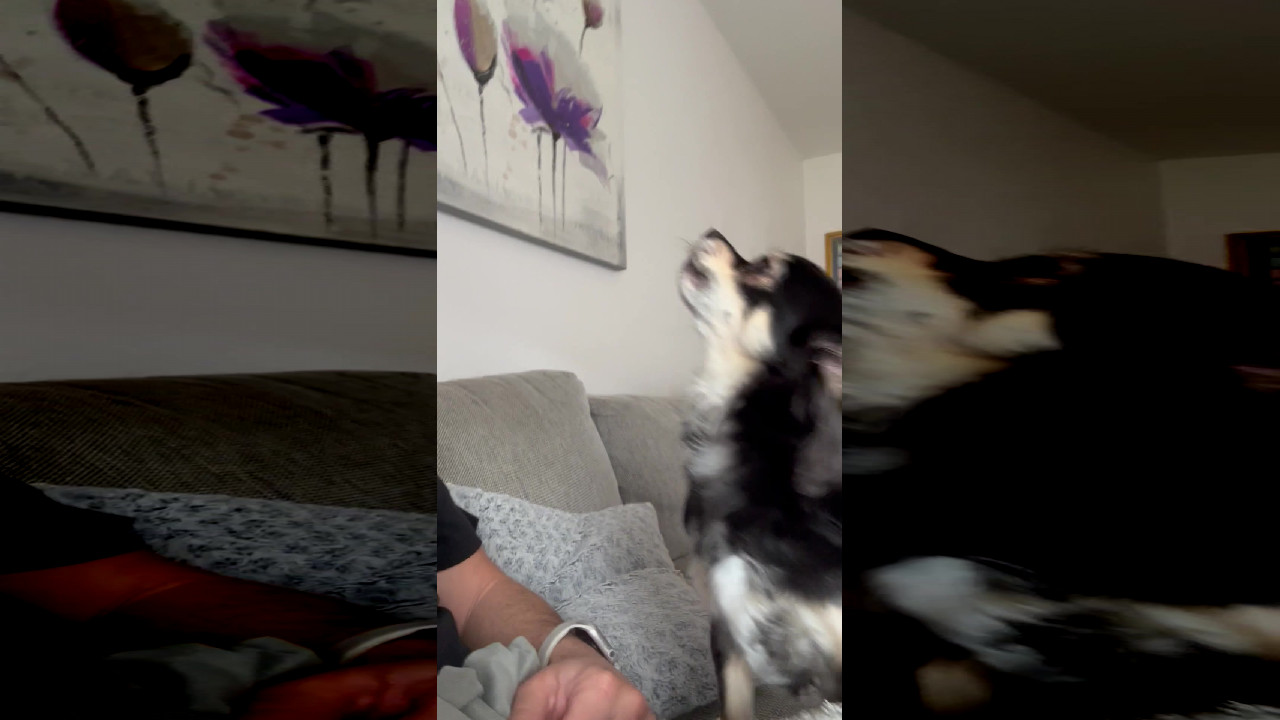 file_thumbnail