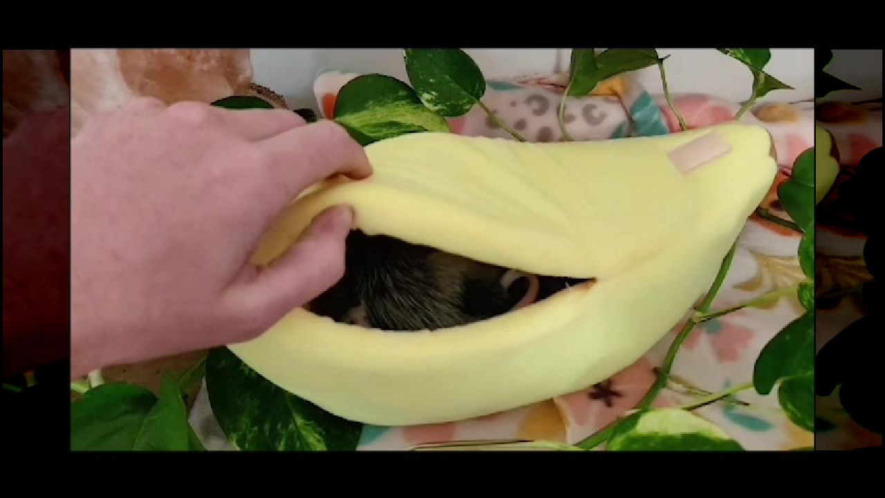 file_thumbnail