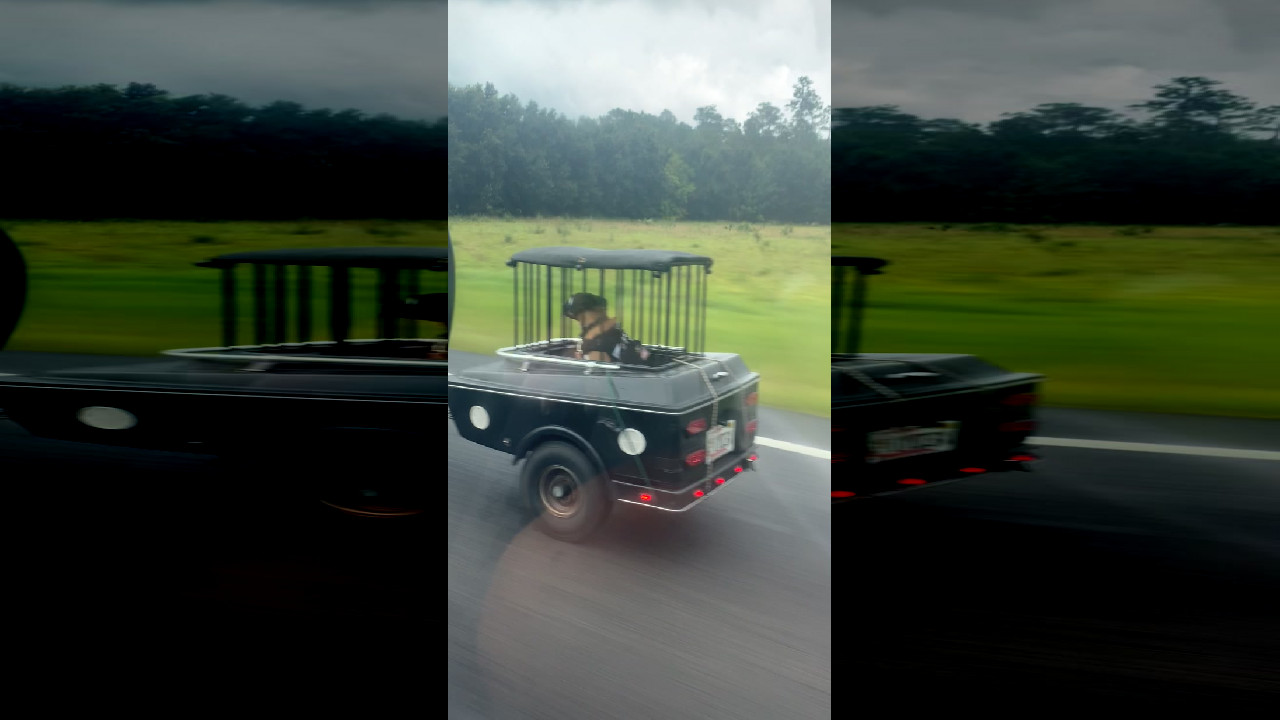 file_thumbnail