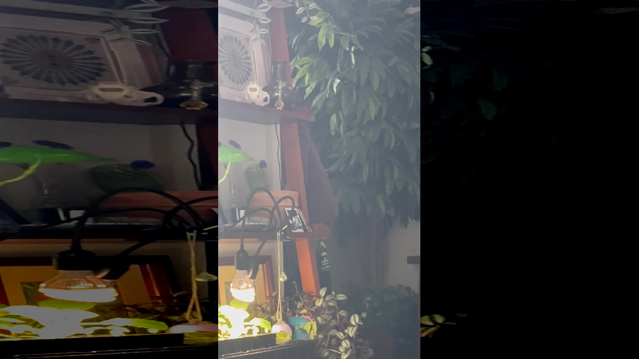 file_thumbnail