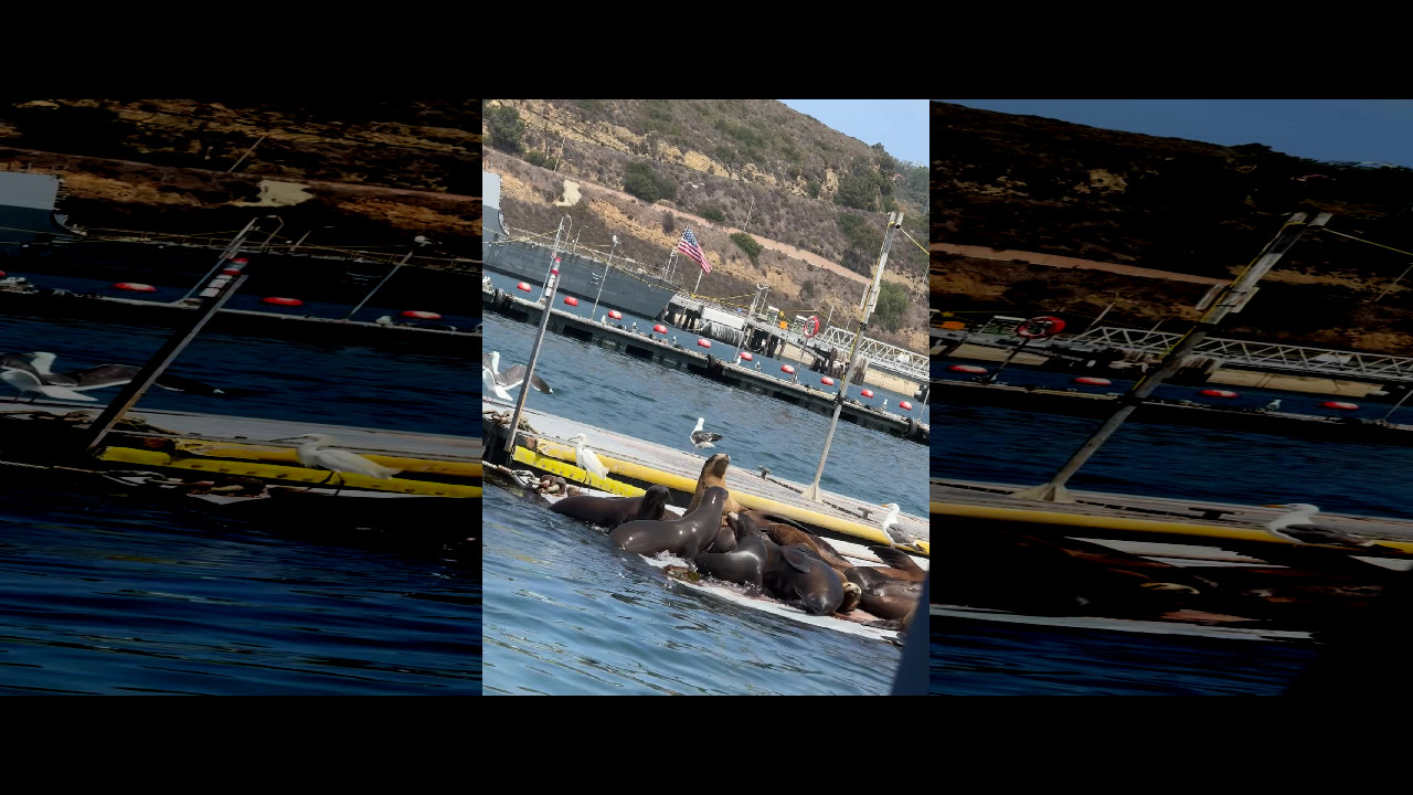 file_thumbnail