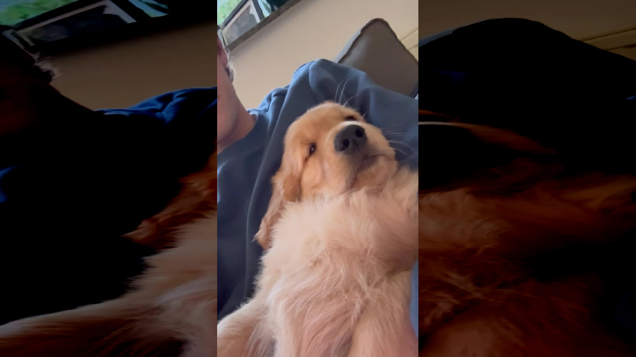 file_thumbnail
