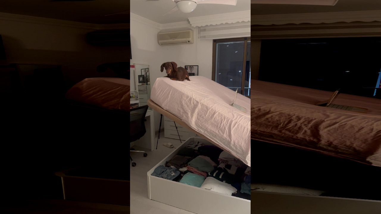 file_thumbnail