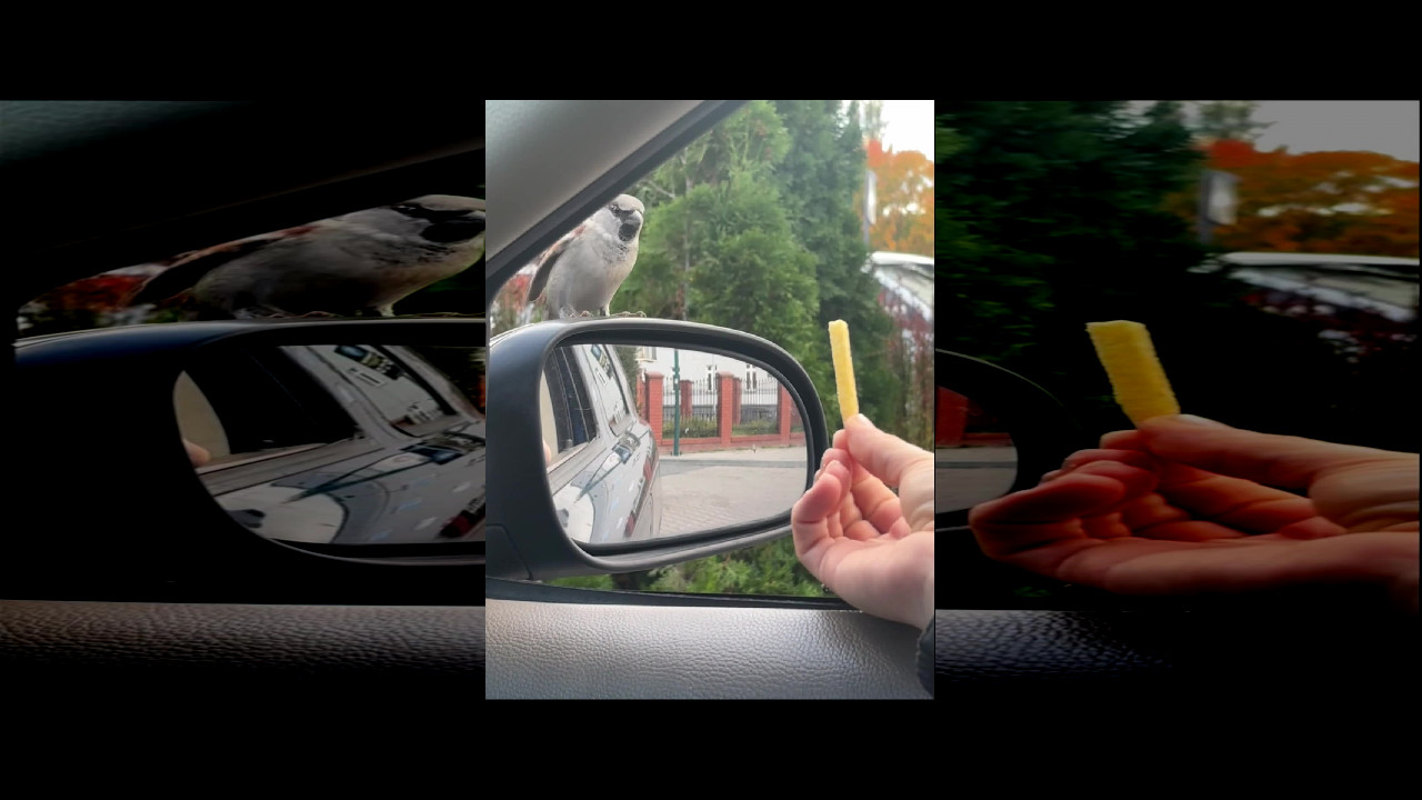 file_thumbnail