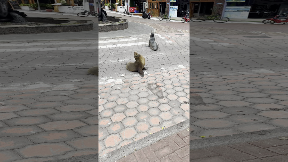 file_thumbnail