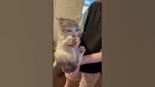 file_thumbnail