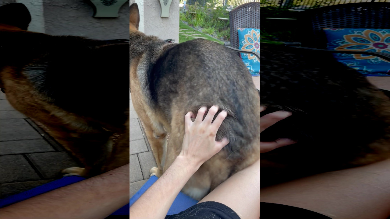 file_thumbnail