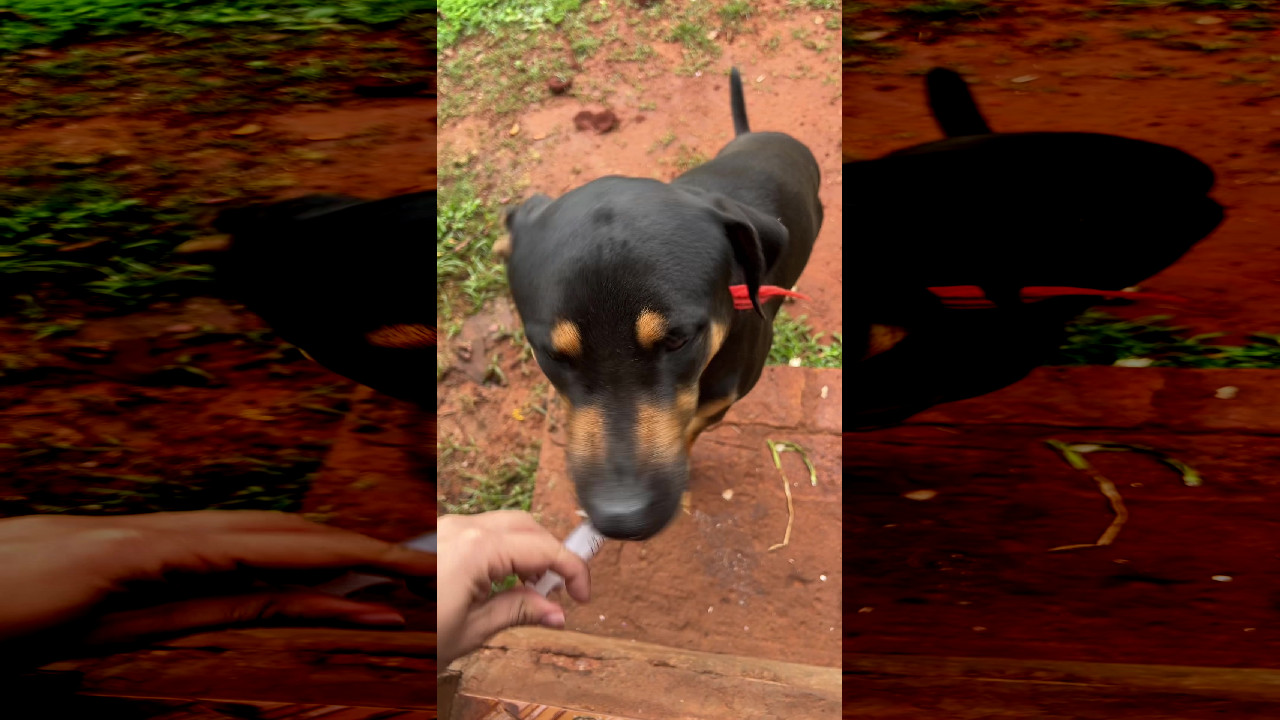 file_thumbnail