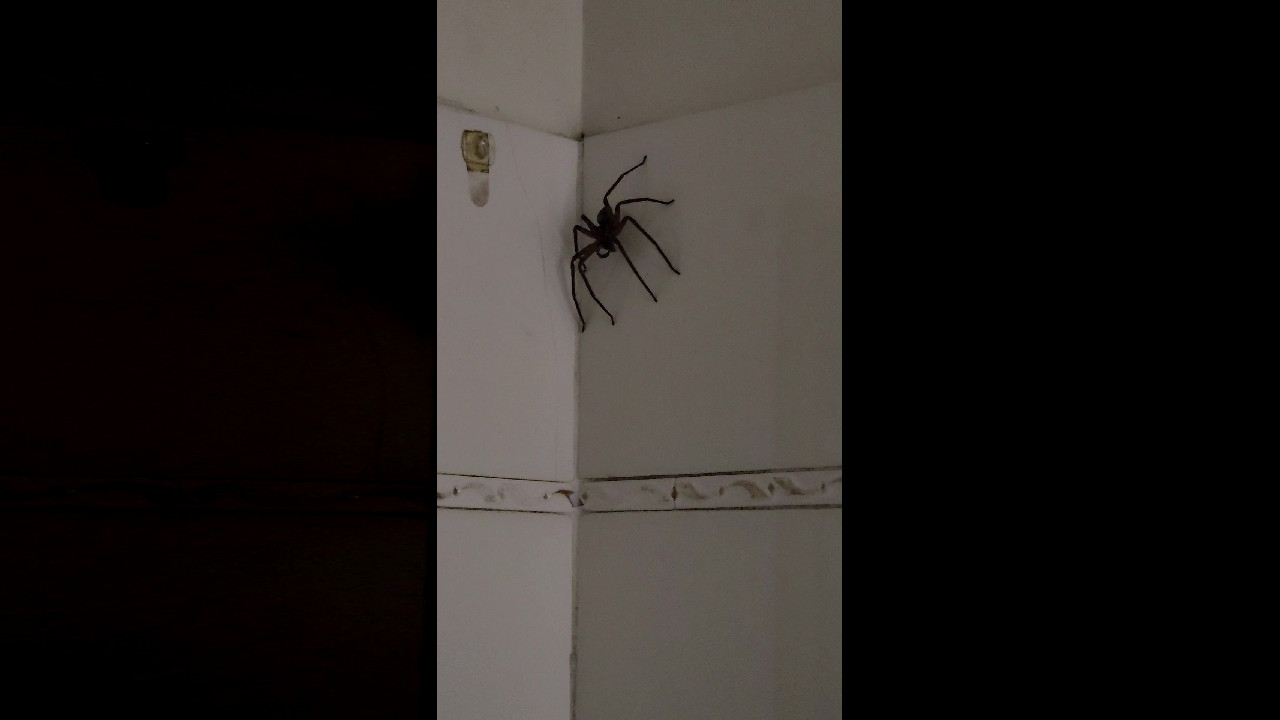 file_thumbnail