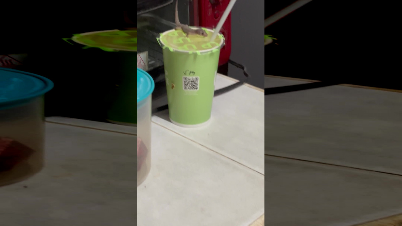 file_thumbnail