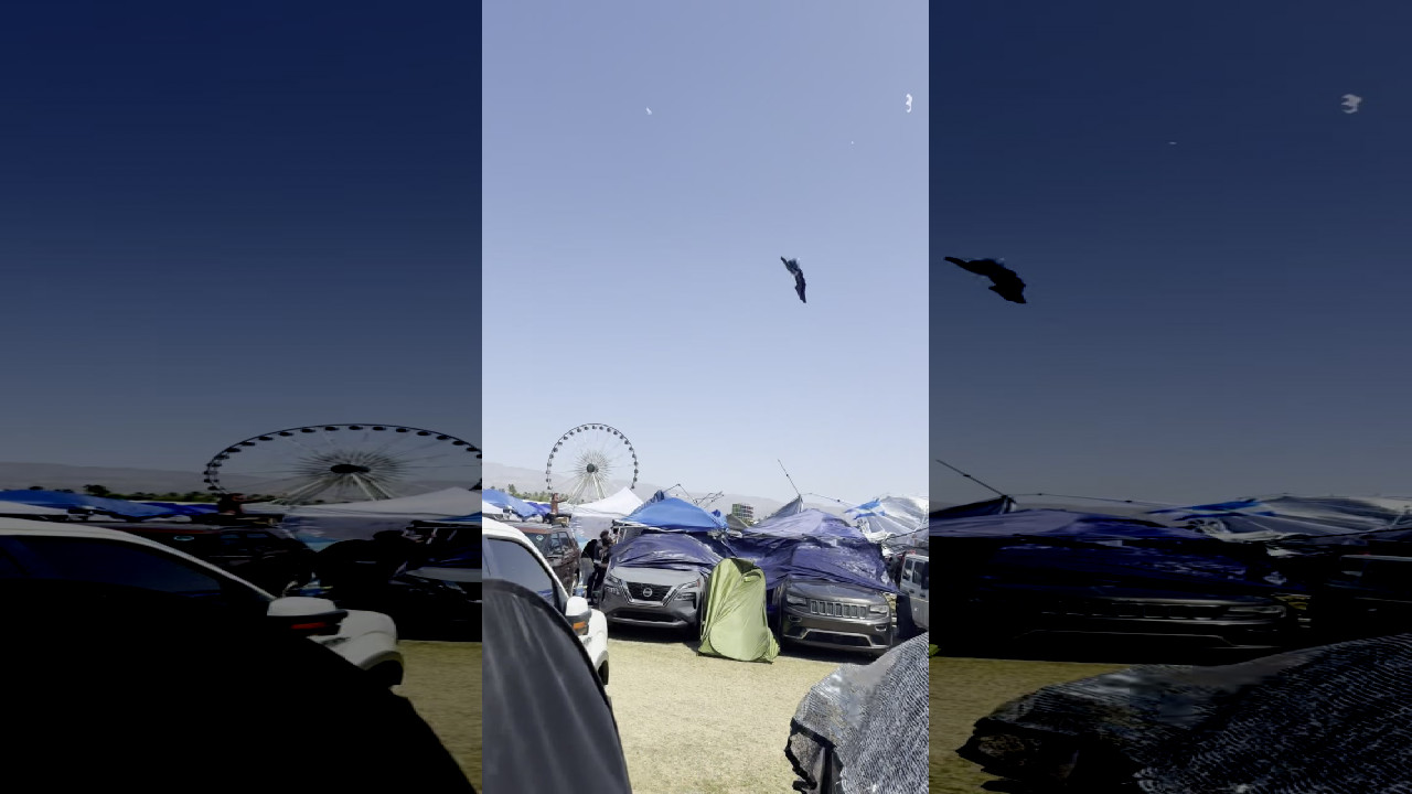 file_thumbnail