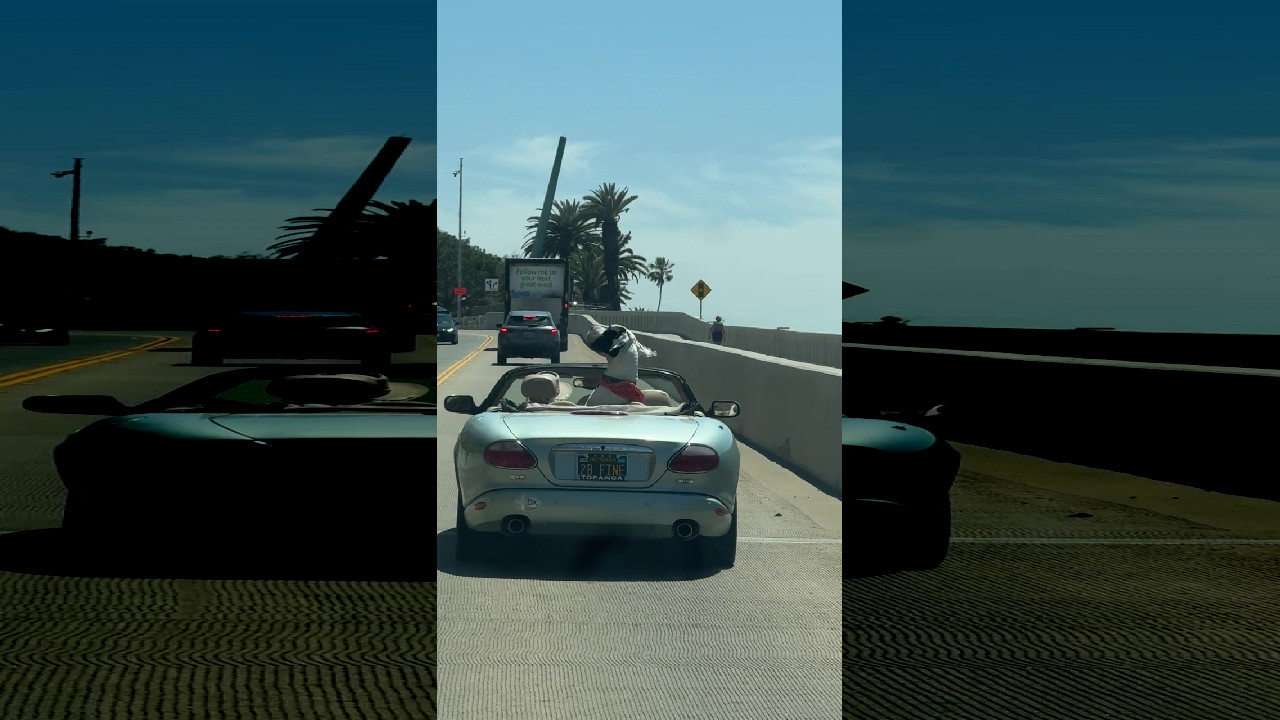 file_thumbnail
