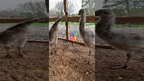 file_thumbnail