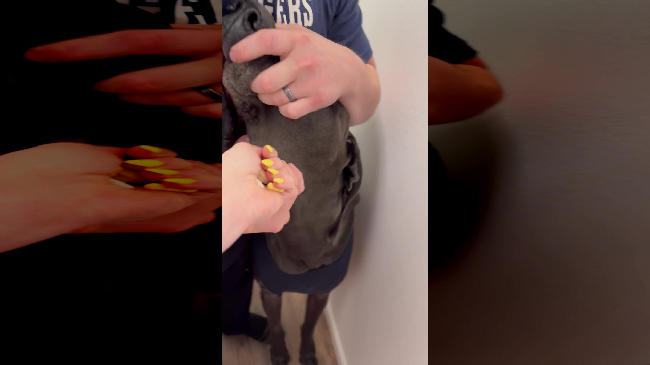 file_thumbnail