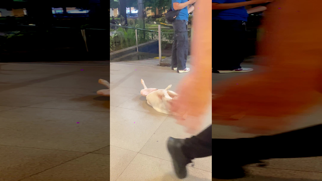 file_thumbnail