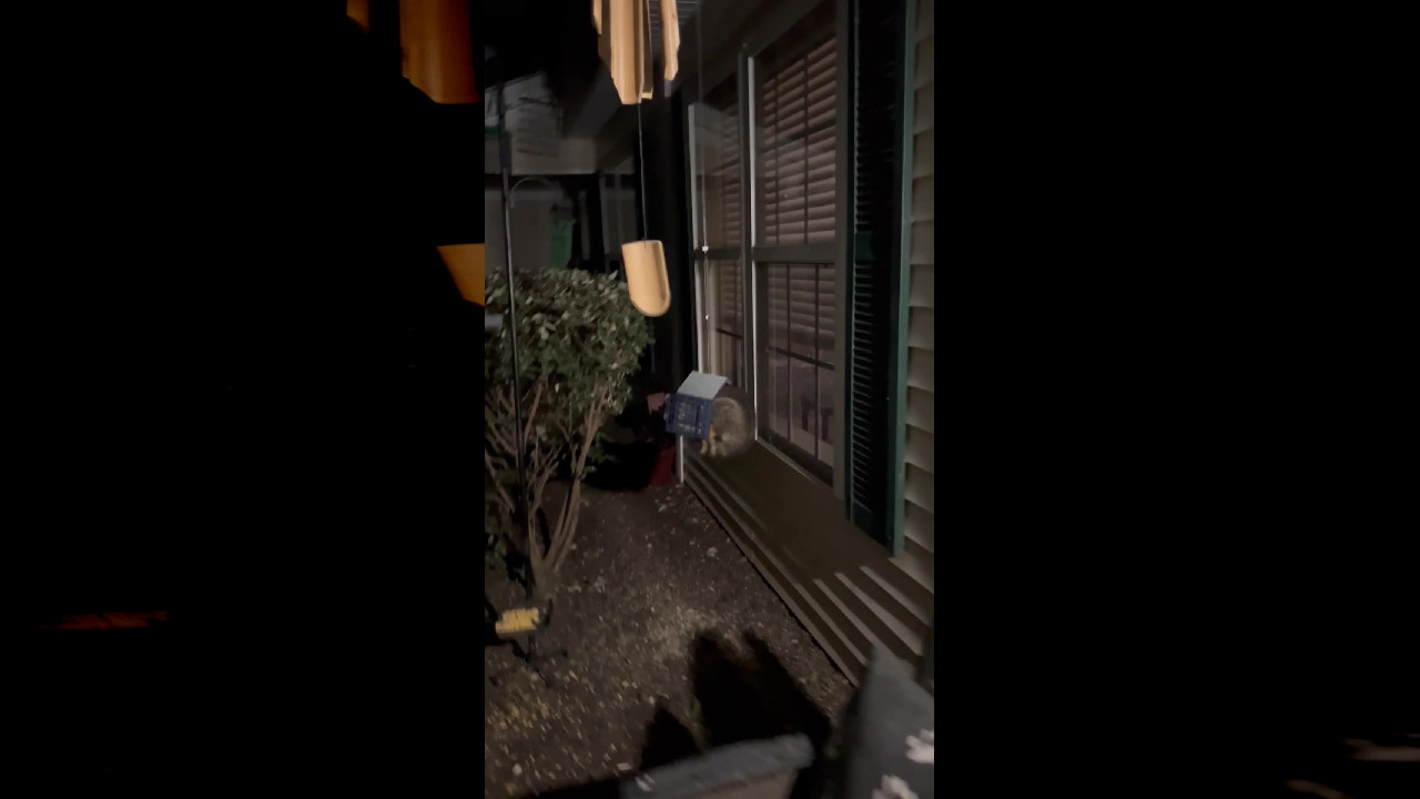 file_thumbnail
