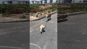 file_thumbnail