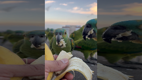 file_thumbnail