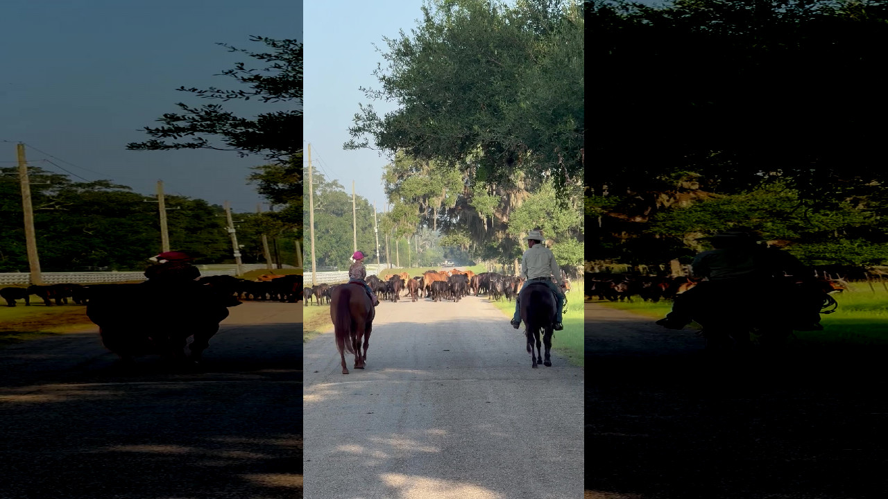 file_thumbnail