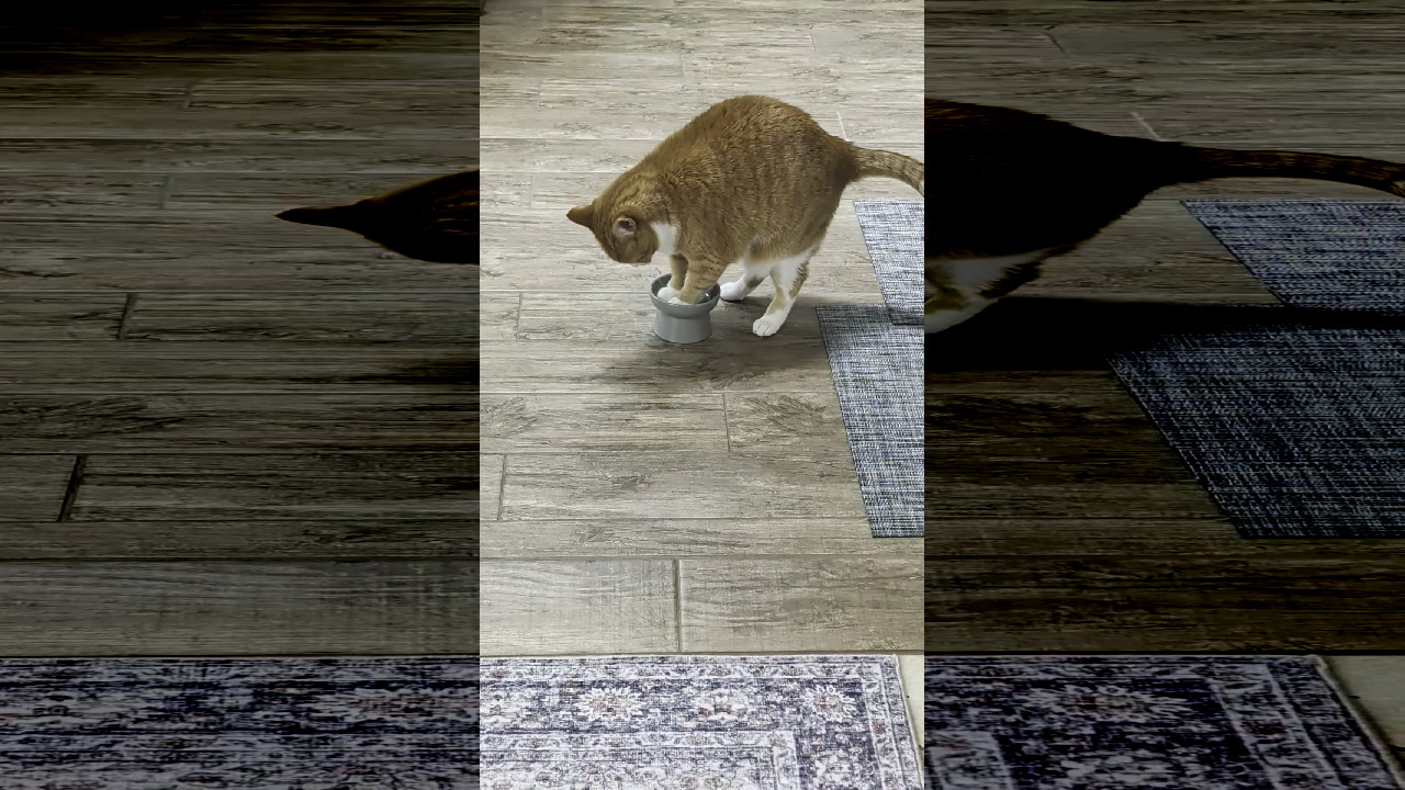 file_thumbnail