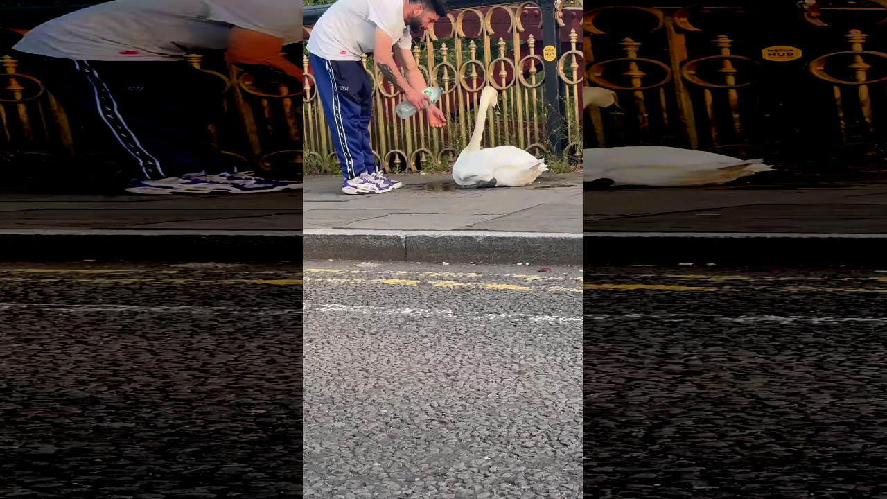 file_thumbnail