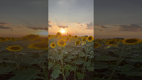 file_thumbnail