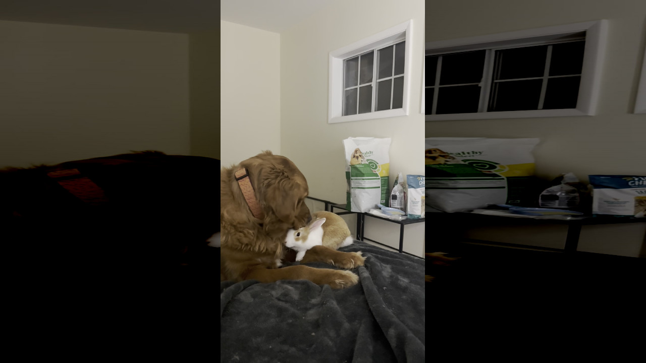 file_thumbnail