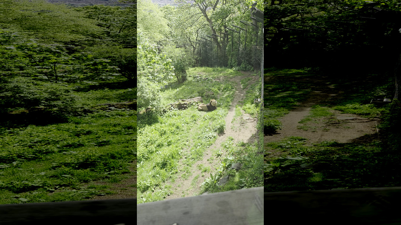 file_thumbnail
