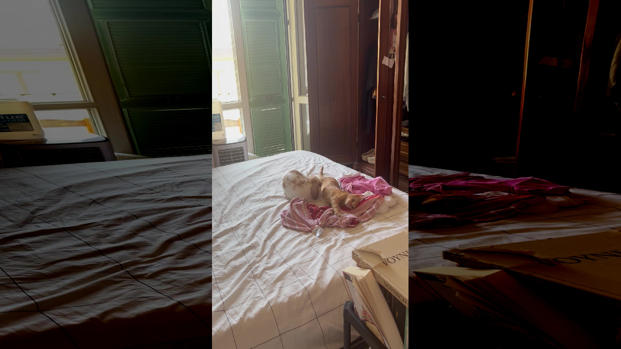 file_thumbnail