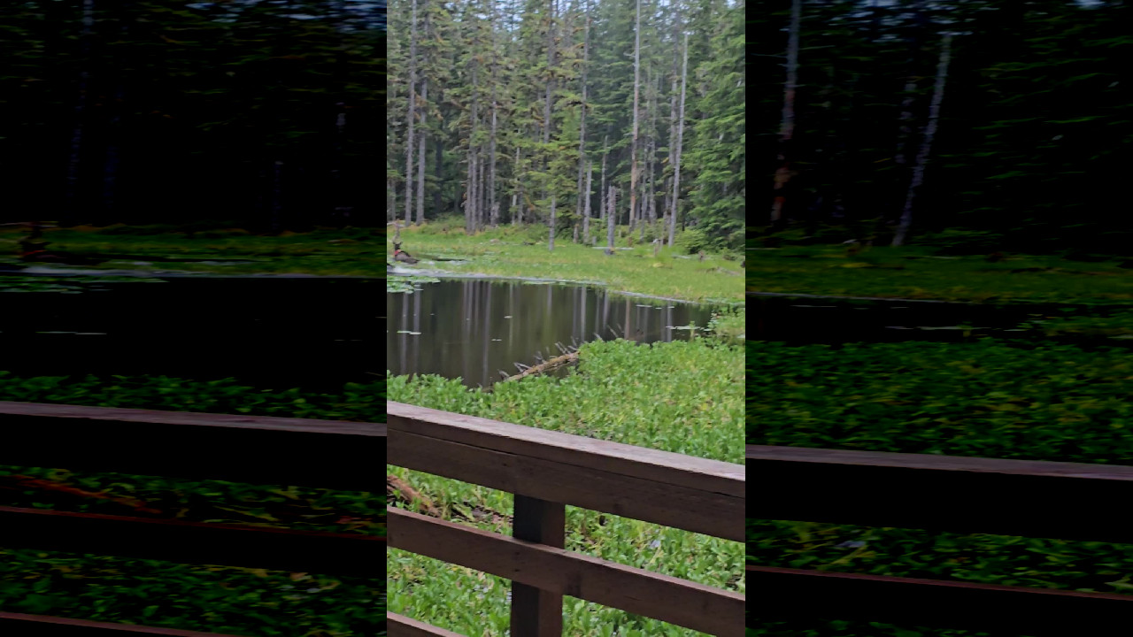 file_thumbnail
