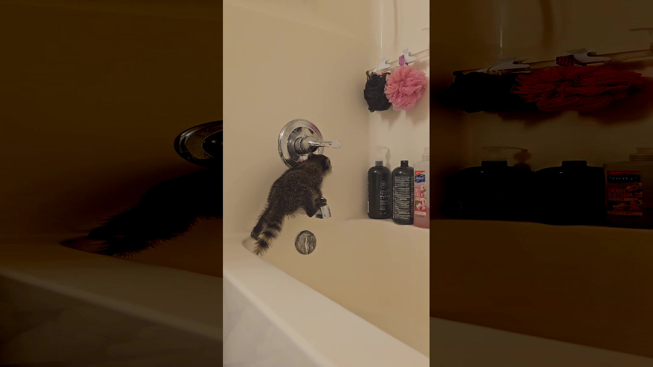 file_thumbnail