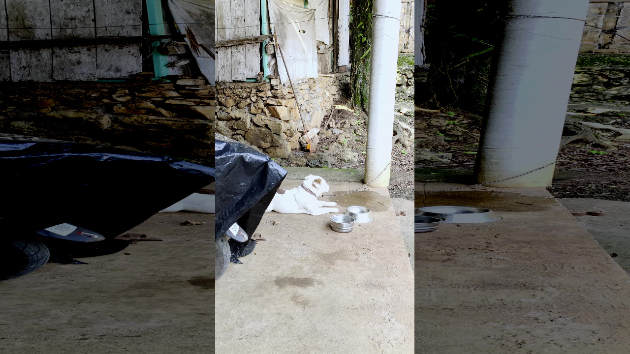 file_thumbnail