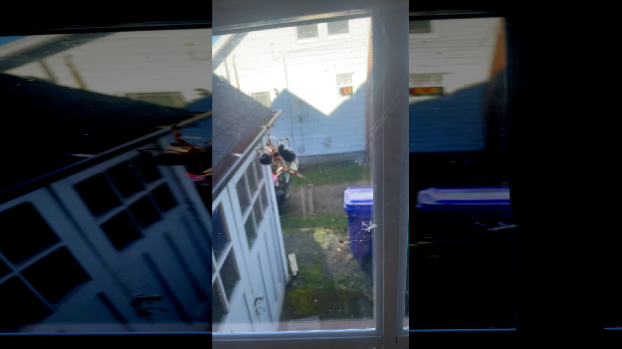 file_thumbnail