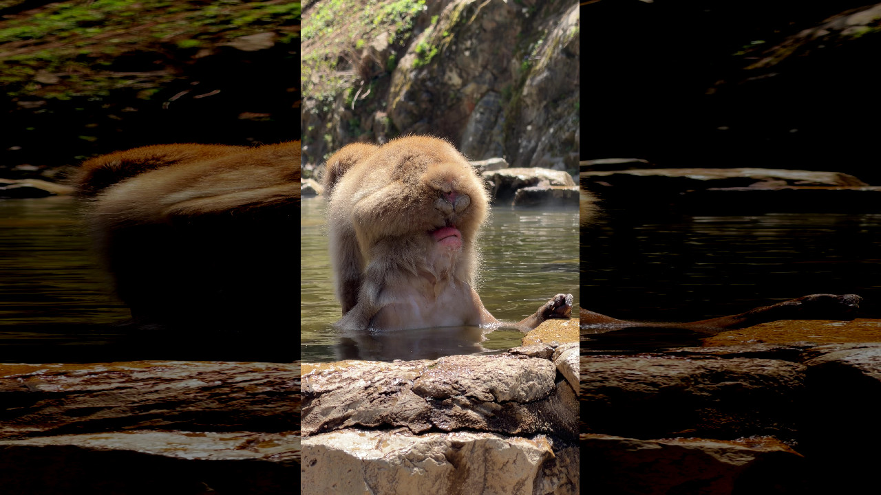 file_thumbnail
