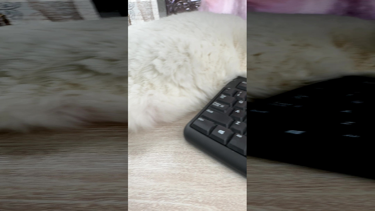 file_thumbnail