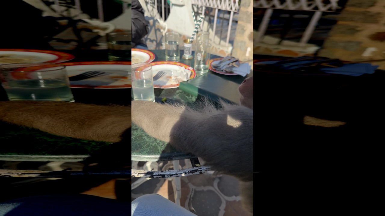 file_thumbnail