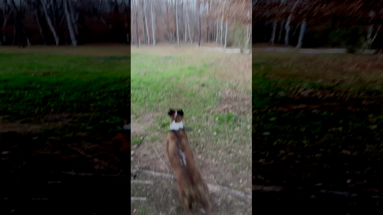 file_thumbnail