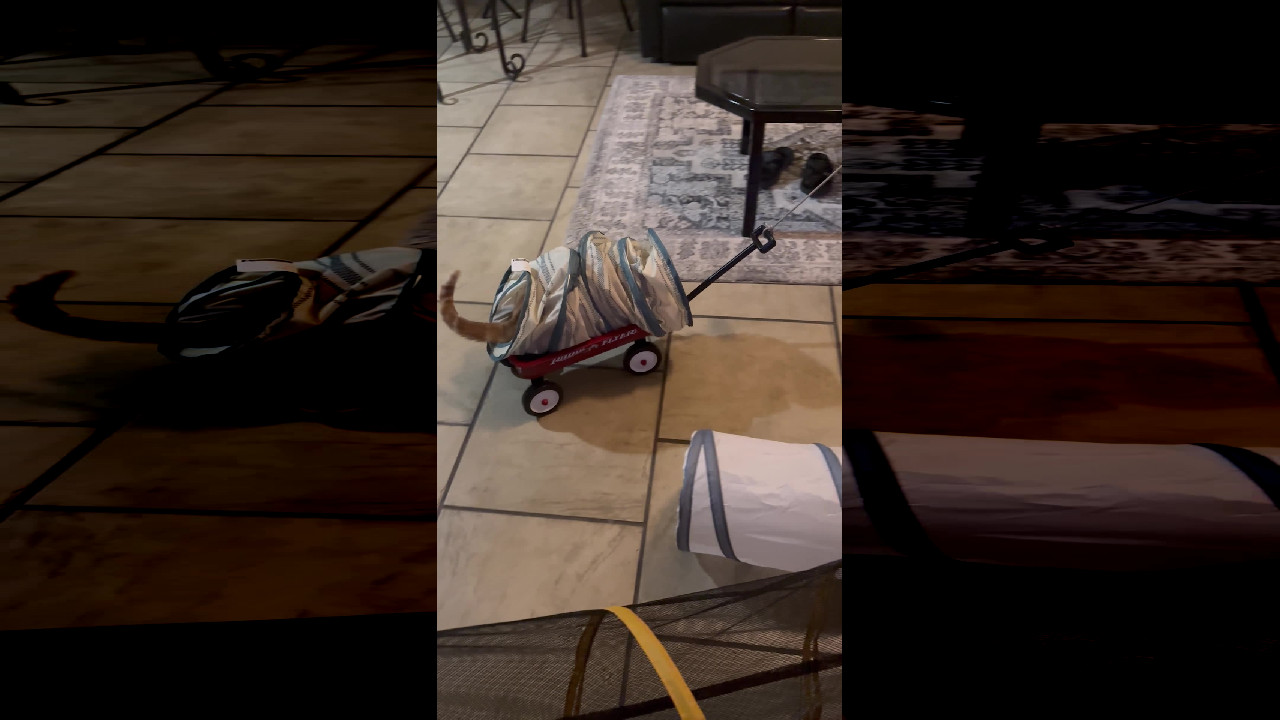 file_thumbnail