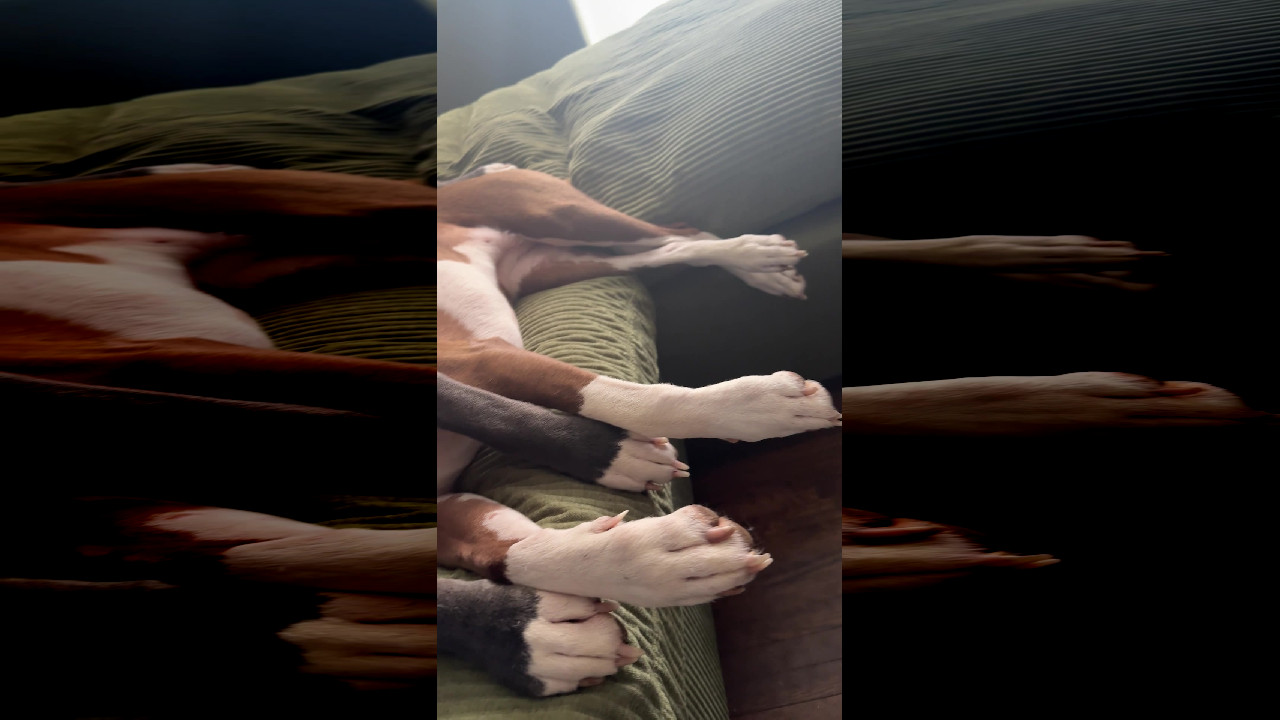 file_thumbnail
