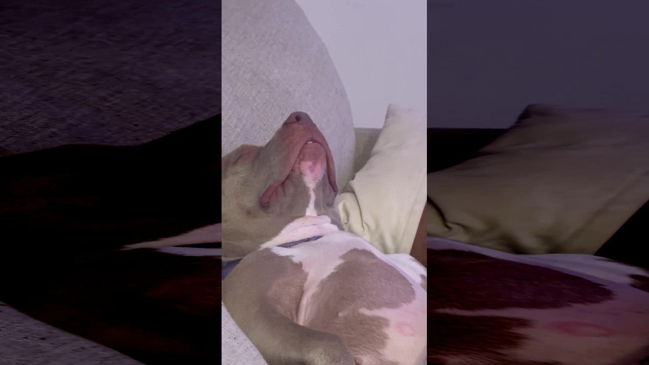 file_thumbnail