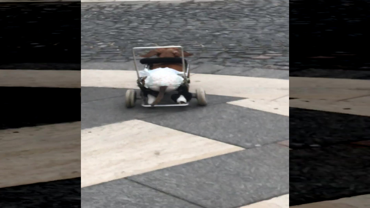 file_thumbnail