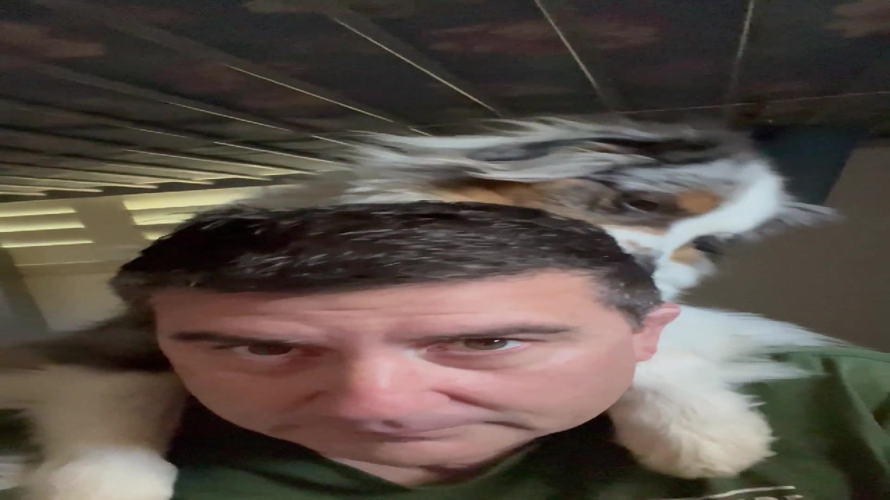 file_thumbnail