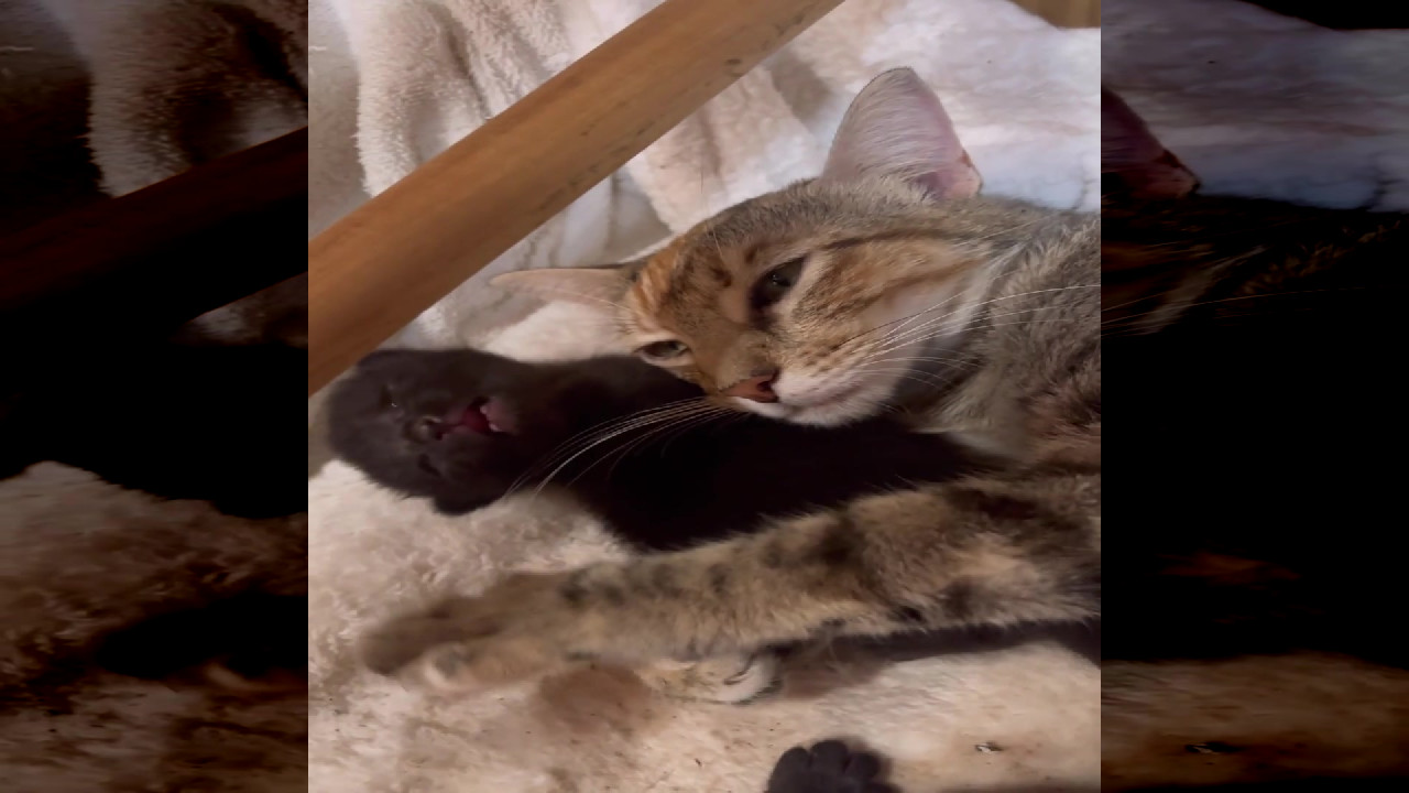 file_thumbnail
