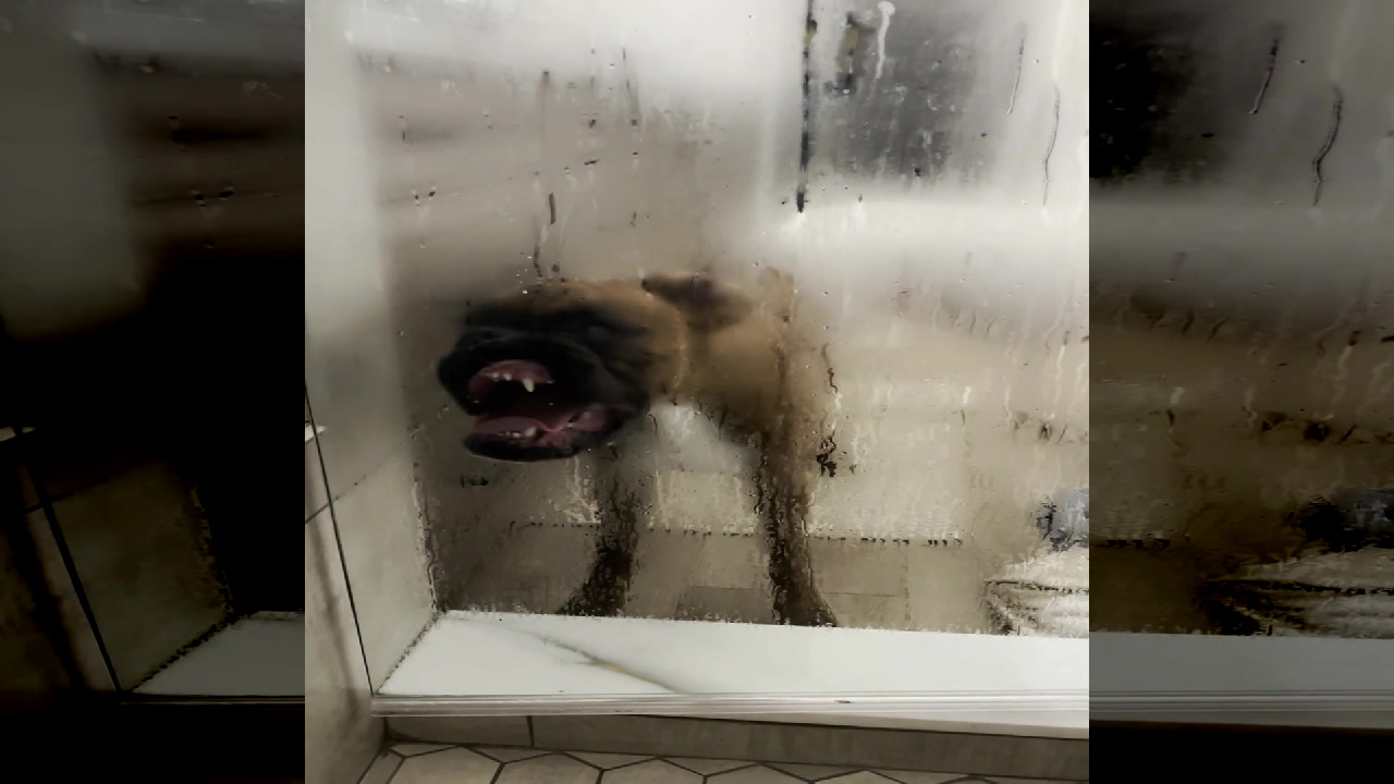 file_thumbnail
