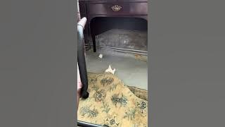 file_thumbnail
