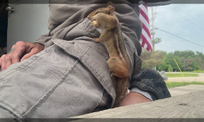 file_thumbnail