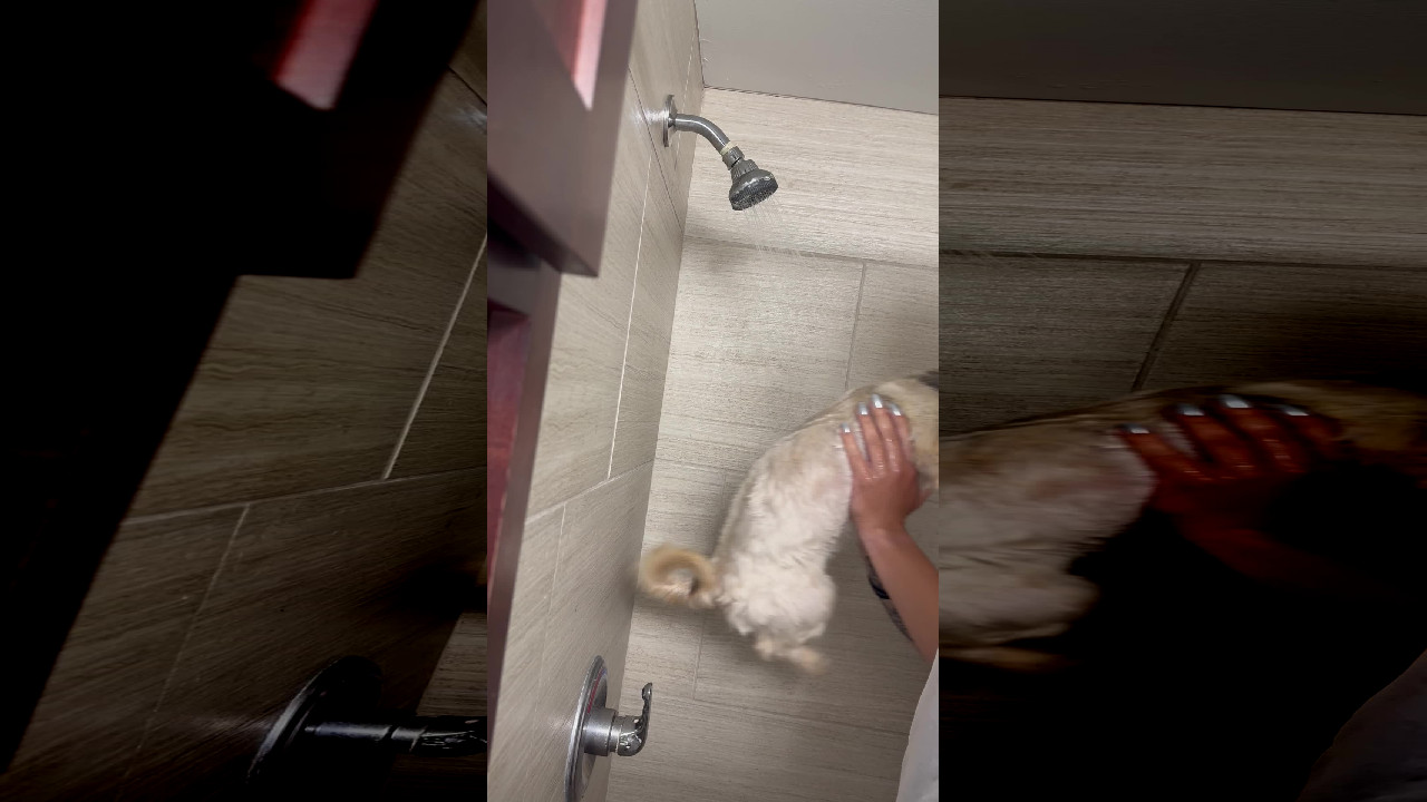 file_thumbnail