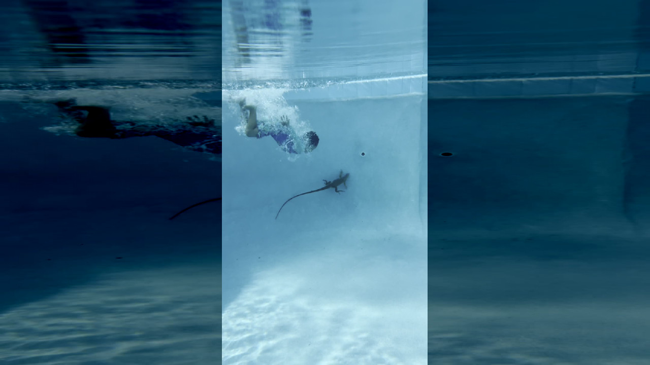file_thumbnail
