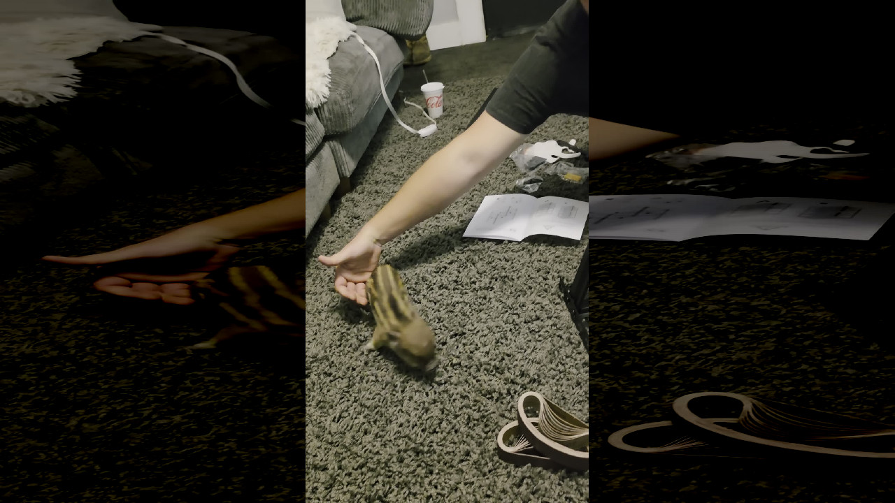file_thumbnail