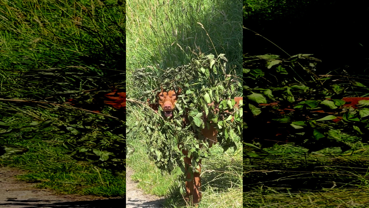 file_thumbnail